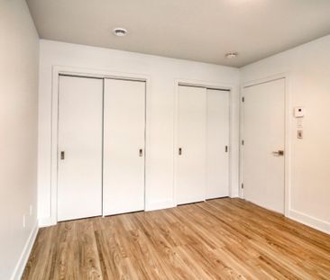 9675 Av. Papineau, app.402, H2B 3C8, H2B 3C8, Montréal - Photo 4