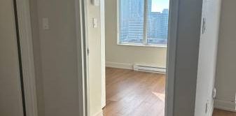 Elevator, LVP flooring, Pet-Free - Photo 2