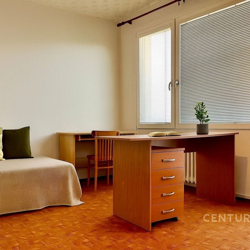Pronájem pokoje 67 m² - Fotografie 1
