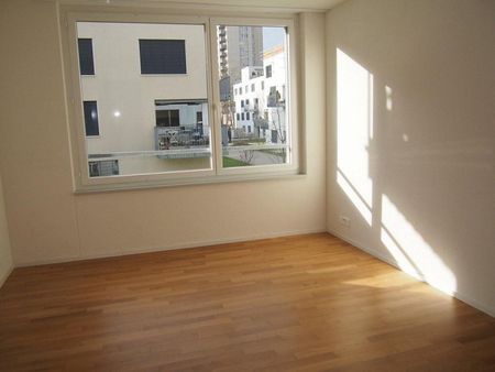 Stilvoll leben nähe Zürich - exklusiv an der Roosstrasse - Photo 5