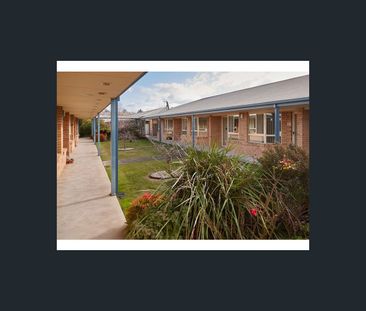 23 Hart Street, Launceston, Tas 7250 - Photo 3