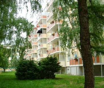 geräumige 2-Raumwohnung mit Abstellraum - Foto 1