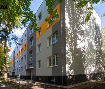 Pronájem bytu 1+1 38 m² - Photo 5