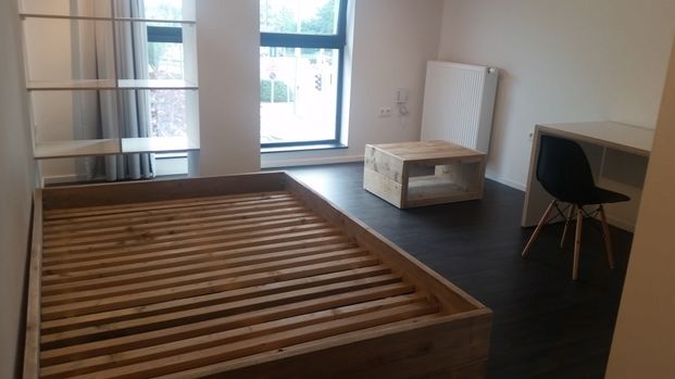 FOR STUDENTS ONLY! Studio for rent at THE LINK - Photo 1