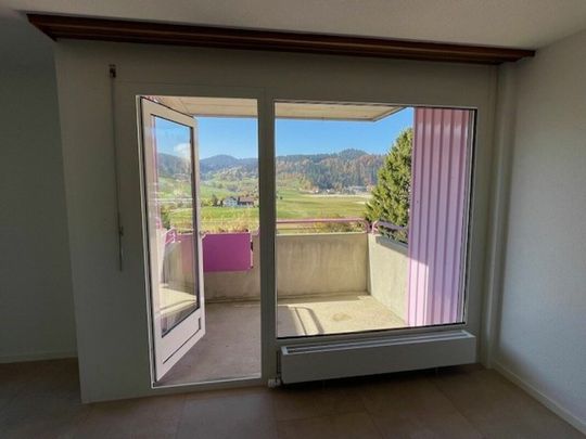 Chemin des Carabiniers 1, 4.5 pièces au 4ème Nord rénové - Photo 1