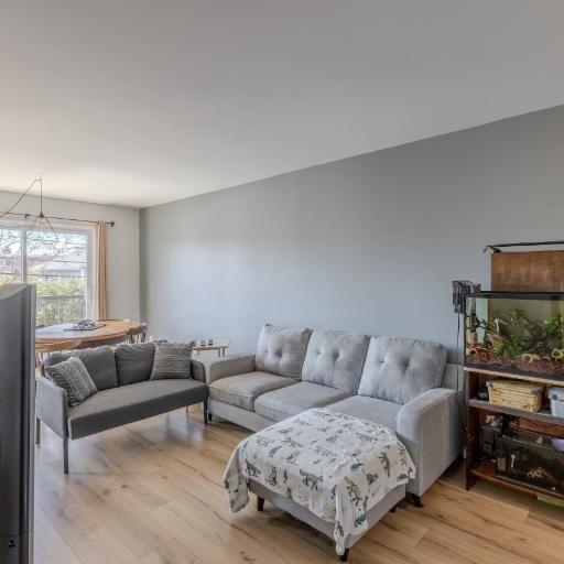 Appartement 4 ½ à louer Lévis juillet 2026 - Photo 1