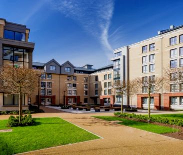 Raven Studio - Single Occupancy - Photo 6