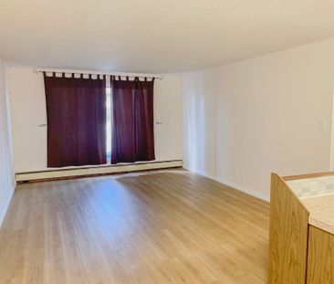 1 Bed Condo In West Jasper Place | Utilities Included | Walk To Jas... - Photo 2