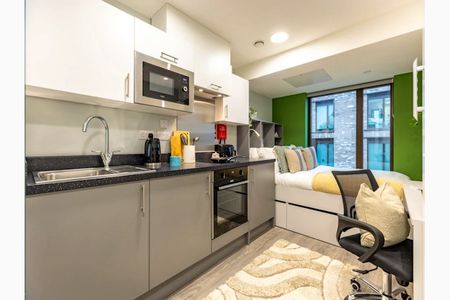 Platinum Studio / Platinum Plus Studio - Photo 5