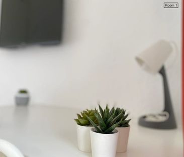 Avenida de Sánchez Pizjuán, Sevilla, Andalusia 41009 - Photo 3