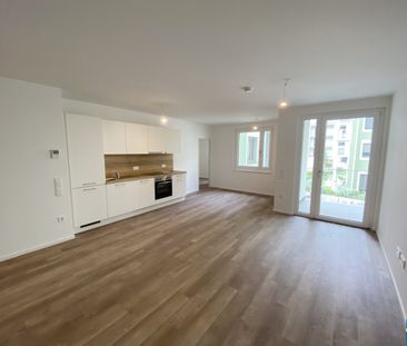 Willkommen in Ihrer neuen Wohnoase: Moderne Mietwohnungen in idylli... - Foto 1