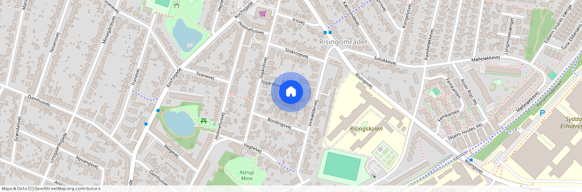 Isgårdsvænget 61, 5000, Odense C