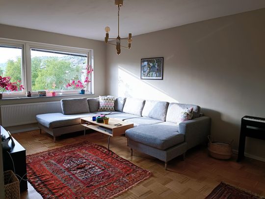 Pinnharvsgatan, Mölndal - Foto 1