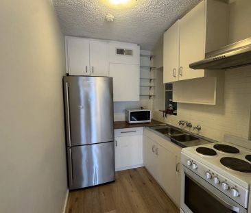 Spring Street Gem - Photo 4