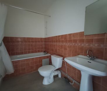 Location Appartement 1 pièce 20m² BELFORT 90000 - Photo 4