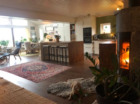 Hällan, Jättendal - Foto 3