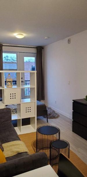 Studio - Montréal - $1,145 /mo - Photo 1