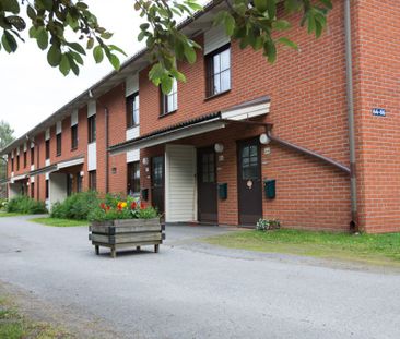Brännsvedjevägen, Kåge - Photo 4