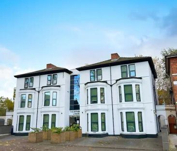 Deluxe Studio - Photo 6