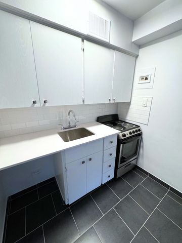 Great Studio – 175 Sherbrooke O - Photo 3