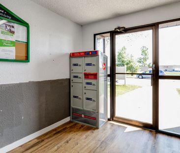 Renovated Suite - 1 Bedroom - Photo 2