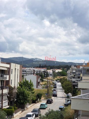 ΕΝΟΙΚΙΑΣΗ ΚΑΤΟΙΚΙΑΣ - ΠΥΛΑΙΑ - ΔΙΑΜΕΡΙΣΜΑ 110 τ.μ. - ΘΕΑ ΘΑΛΑΣΣΑ - ΥΠΟΓΕΙΟ ΚΛΕΙΣΤΟ ΠΑΡΚΙΝΓΚ - ΑΠΟΘΗΚΗ - Photo 2