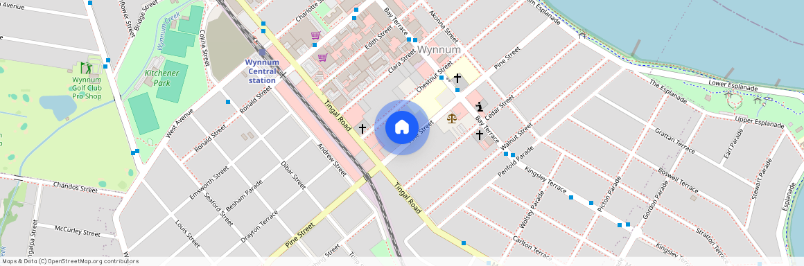 99 Pine Street, Qld 4178, Wynnum