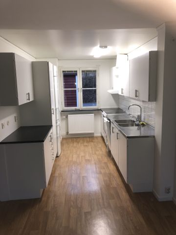 Pilörtsvägen, Fritsla - Foto 3