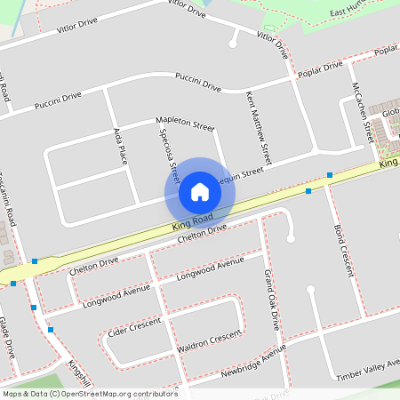 113 Seguin Street, Richmond Hill