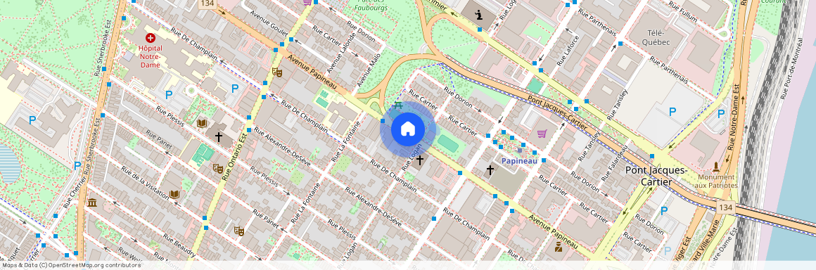 1415 Avenue Papineau, Ville-Marie, QC