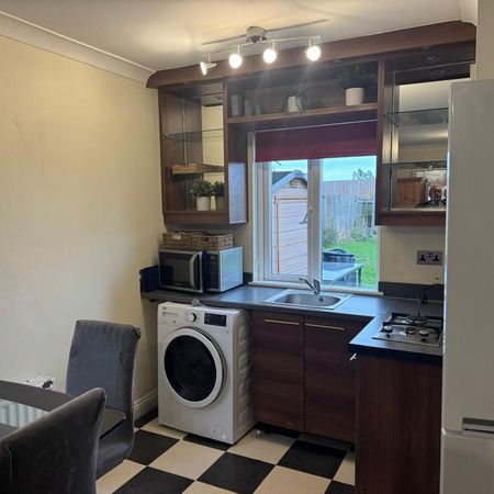 Studio to rent - Photo 3