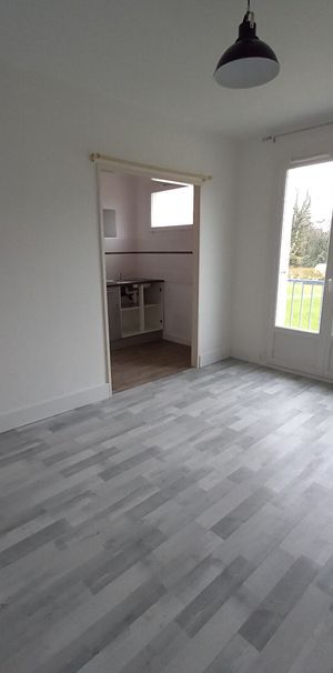 Location Appartement 1 pièce 23m² RENNES 35000 - Photo 1