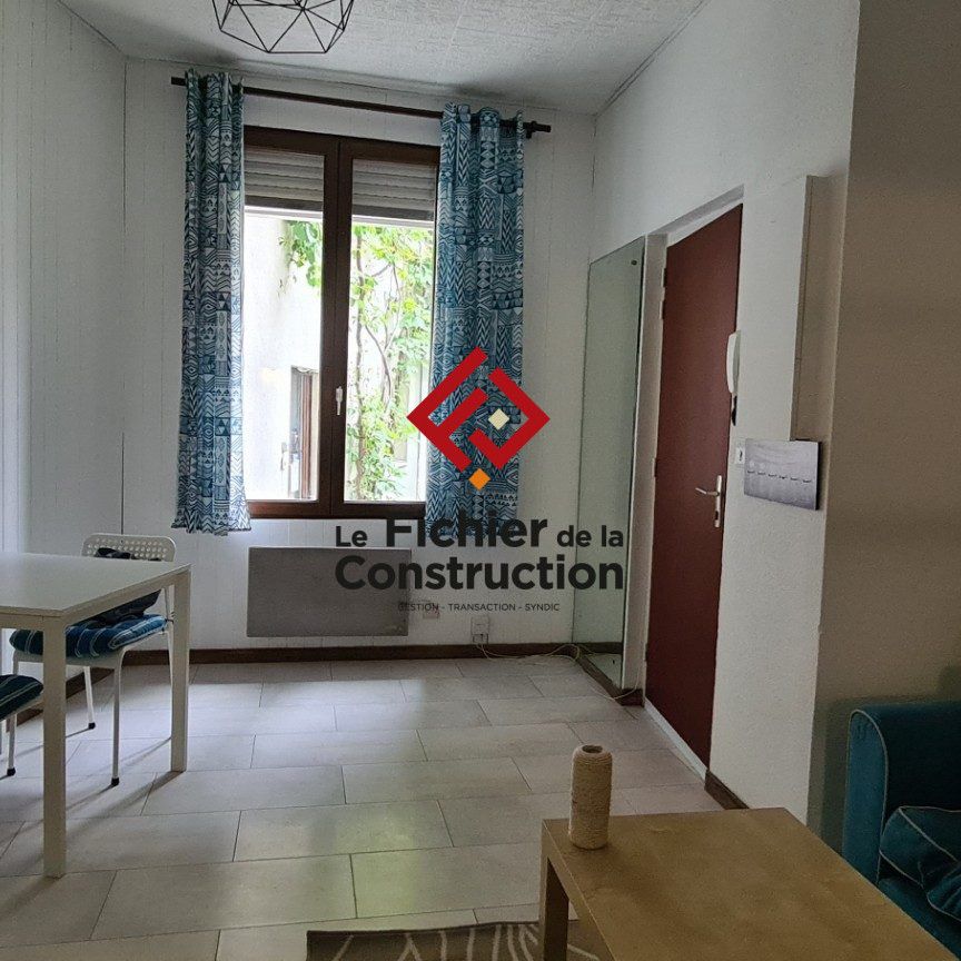Location Appartement 1 pièce 24m² GRENOBLE 38000 - Photo 1