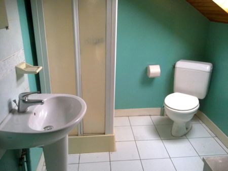 Location Appartement 1 pièce 20m² NEVERS 58000 - Photo 4