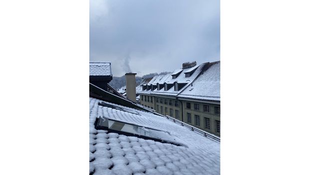 1 Zimmer-Wohnung in Fribourg (FR), möbliert - Foto 1