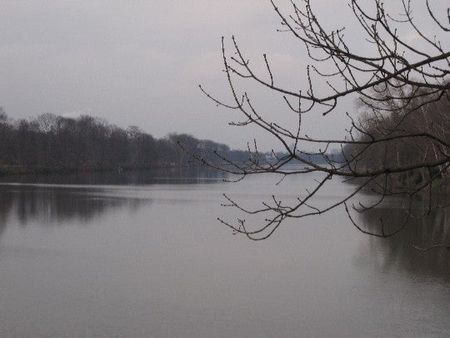 Allensteiner Ring 8, 47279 Duisburg OT Wedau - Foto 4