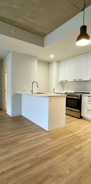 Villeray - Superbe Condo 4 1/2 Neuf - Photo 1