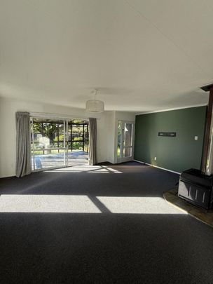 Sunny Family Home in Renwick - Photo 1