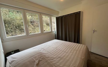 Appartement à louer 2 pièces • Algrange - Photo 4