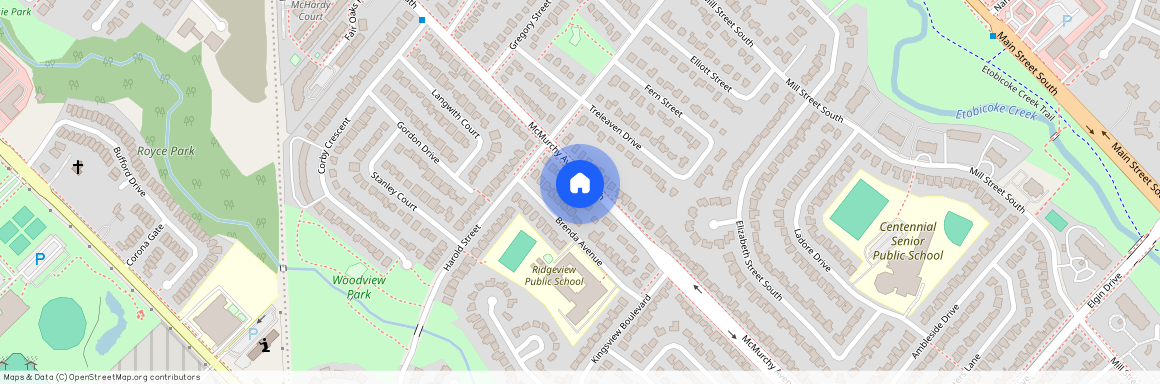 115 Mcmurchy Avenue, Brampton