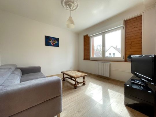 Location Appartement RANSPACH LE BAS 720 € CC - Photo 1