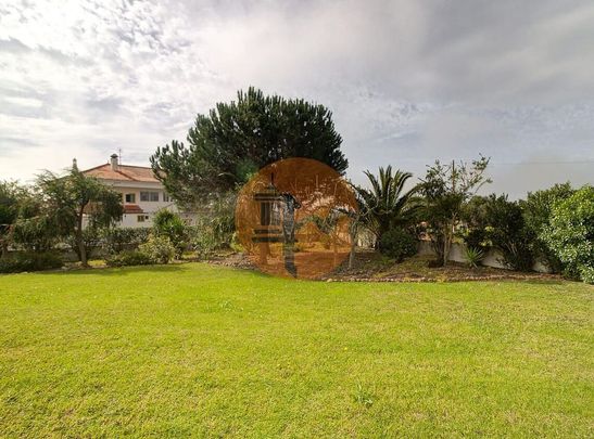 Faro, Faro 8500 - Photo 1