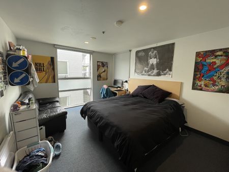 7 Bedrooms in Mt Cook! - Photo 4