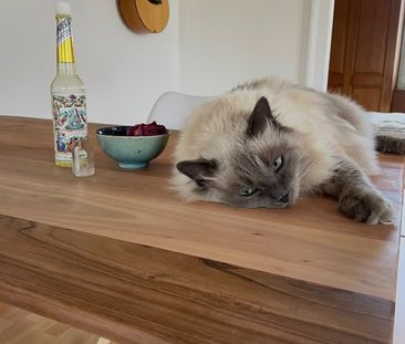 3 Zimmer, 90 m² - Foto 3