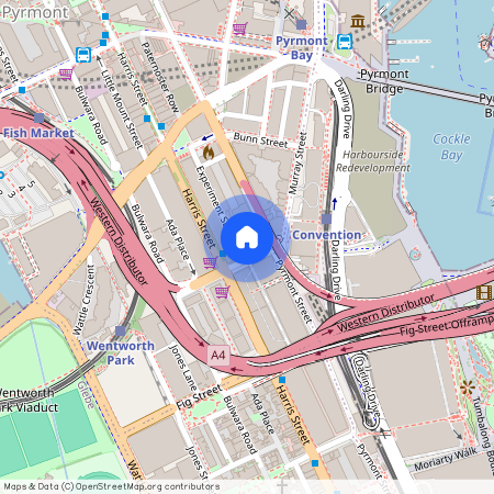 206/18-20 Allen Street, NSW 2009, Pyrmont