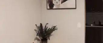 Cozy Basement Suite | Calgary - Photo 1