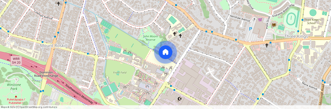 31A Frost Road, Mount Roskill, Auckland City