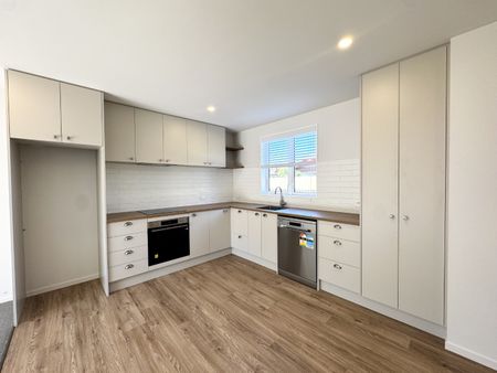 45 Plunket Street, Spreydon - Photo 4