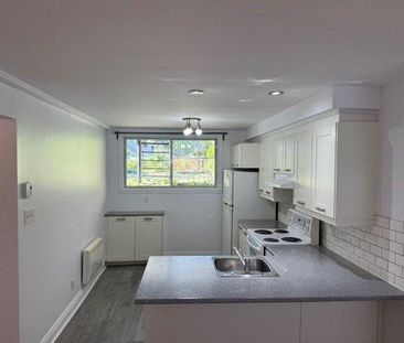 Appartement à louer - Montréal (Rosemont/La Petite-Patrie) (La Peti... - Photo 6