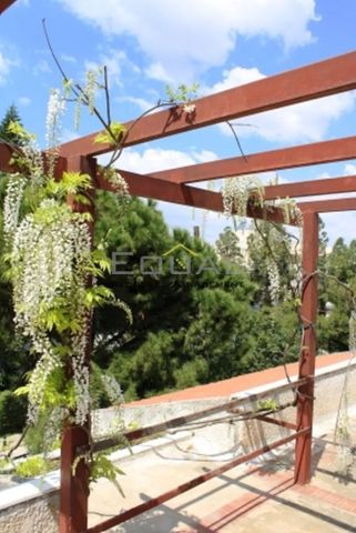 Μονοκατοικία για ενοικίαση Βούλα - Photo 5
